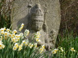 img0047.jpg