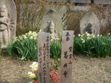 img0049.jpg