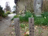 img0051.jpg