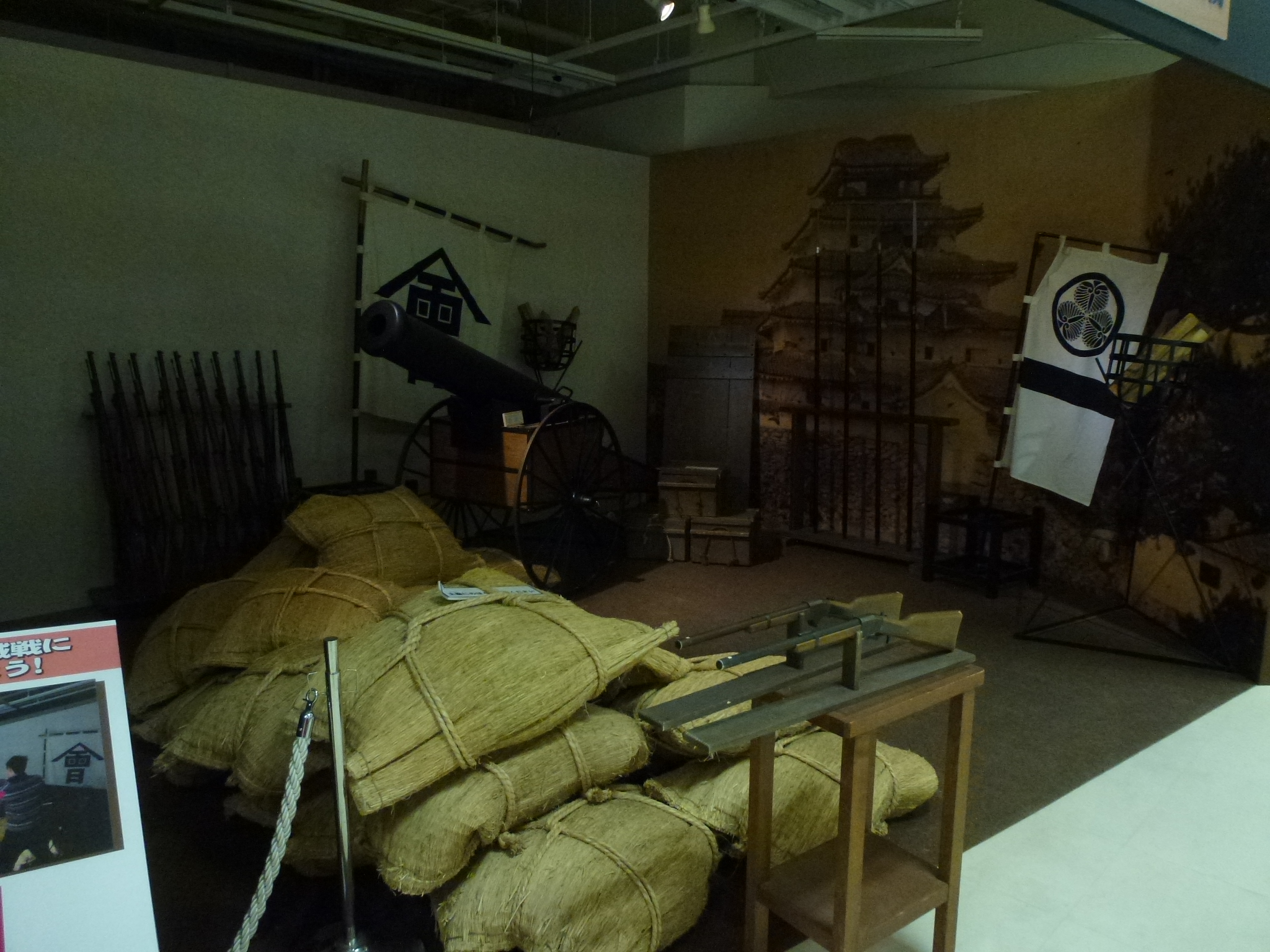 P1150203.JPG