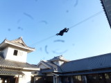 img0025.jpg