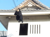 img0027.jpg