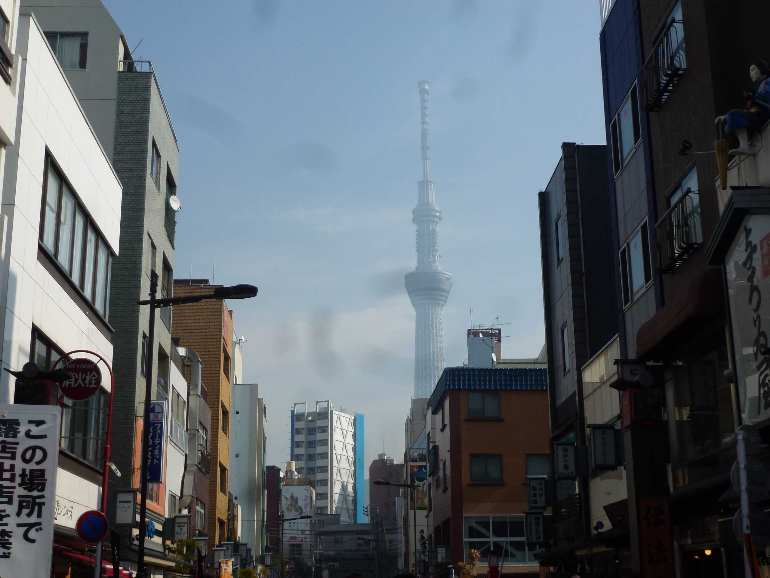 P1150273.JPG