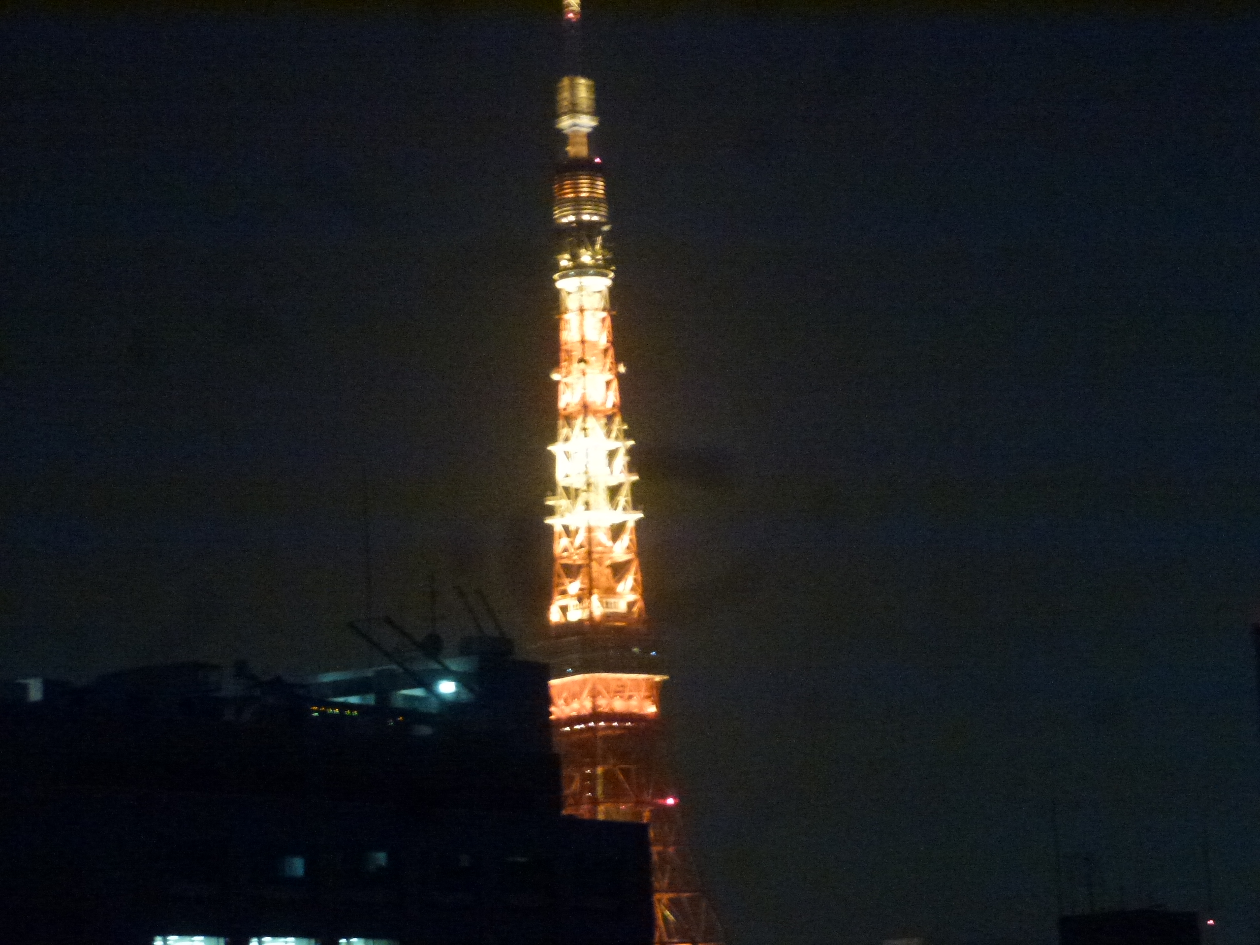 P1150284.JPG