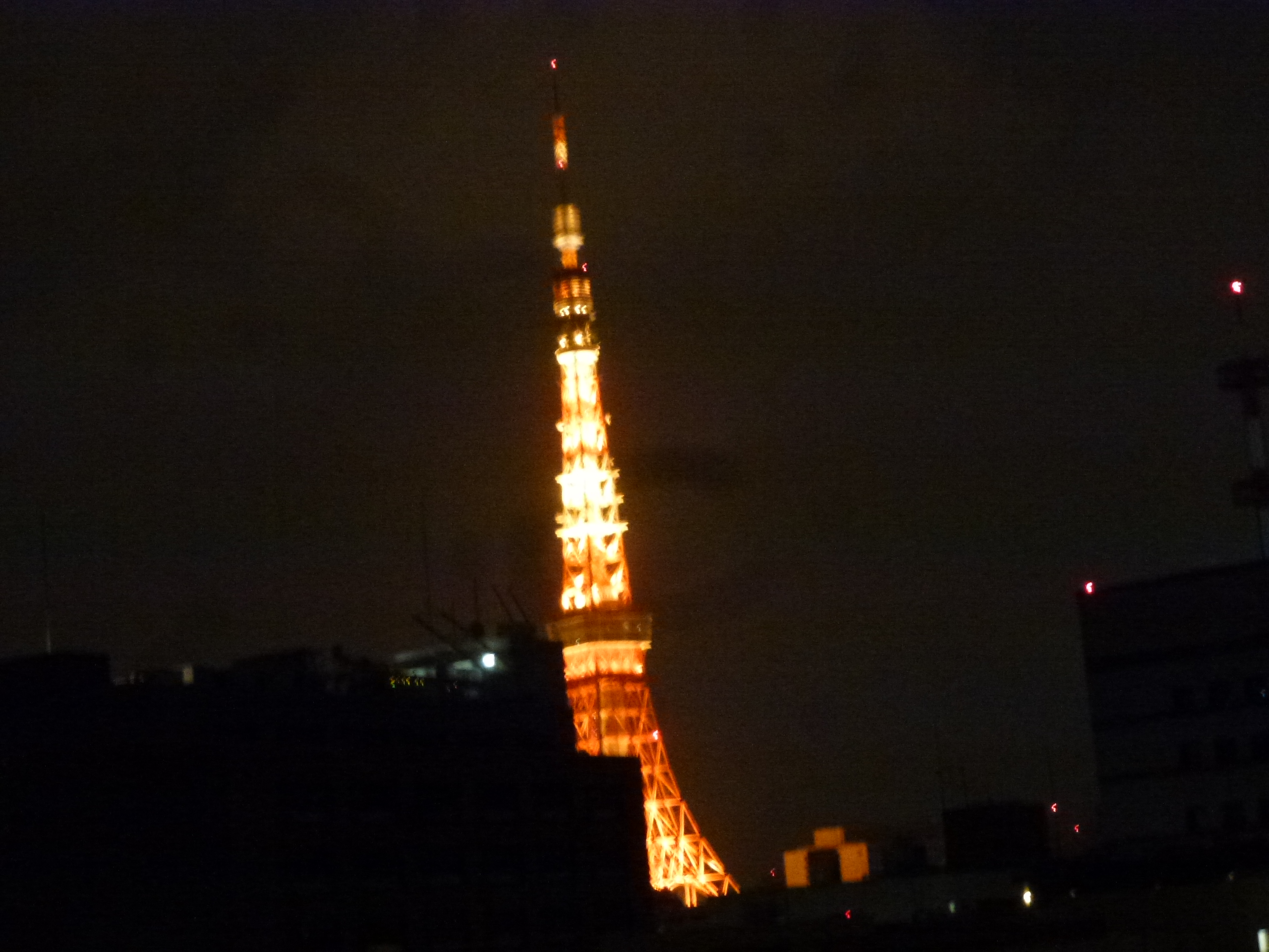 P1150285.JPG