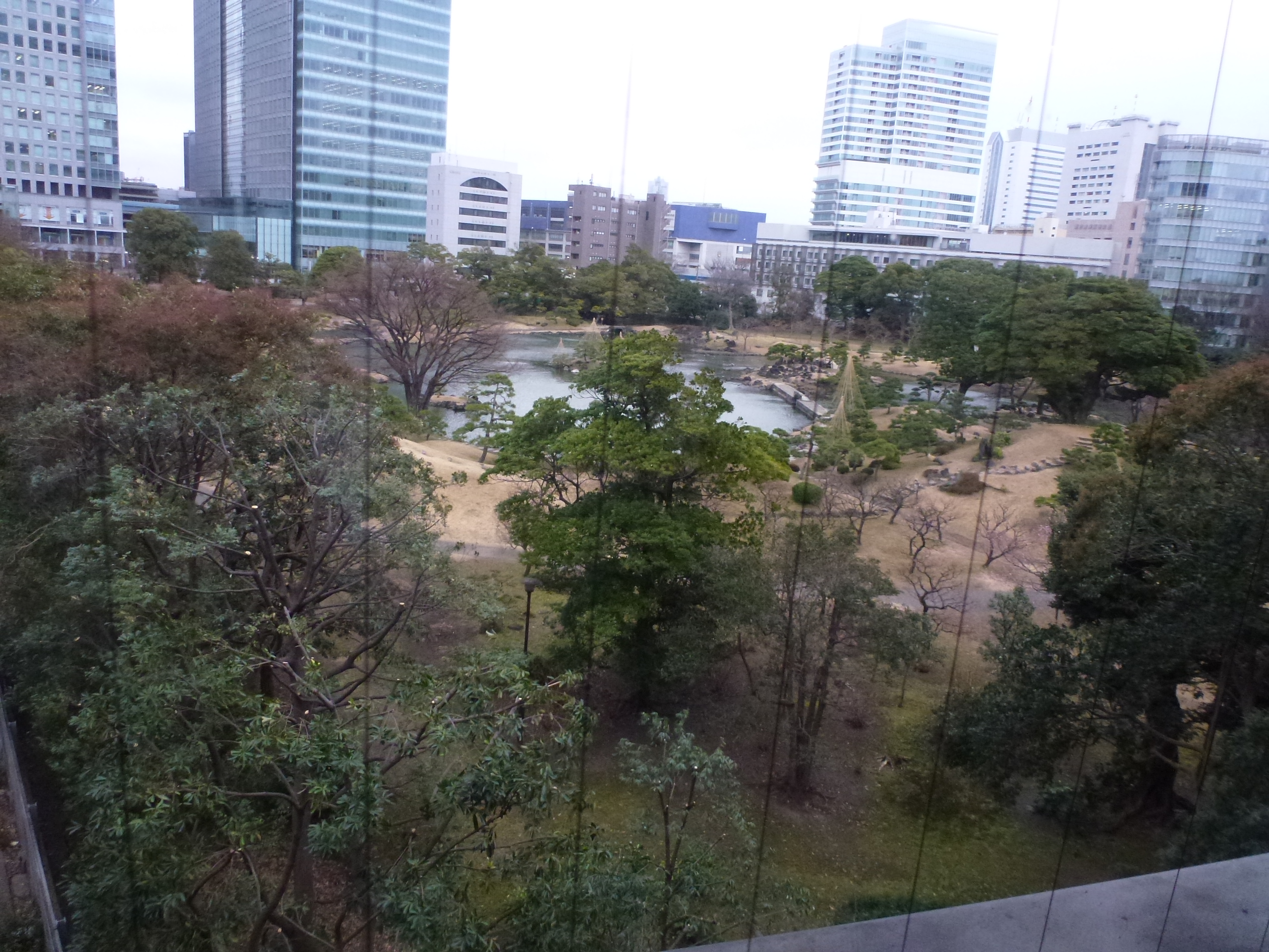 P1150286.JPG