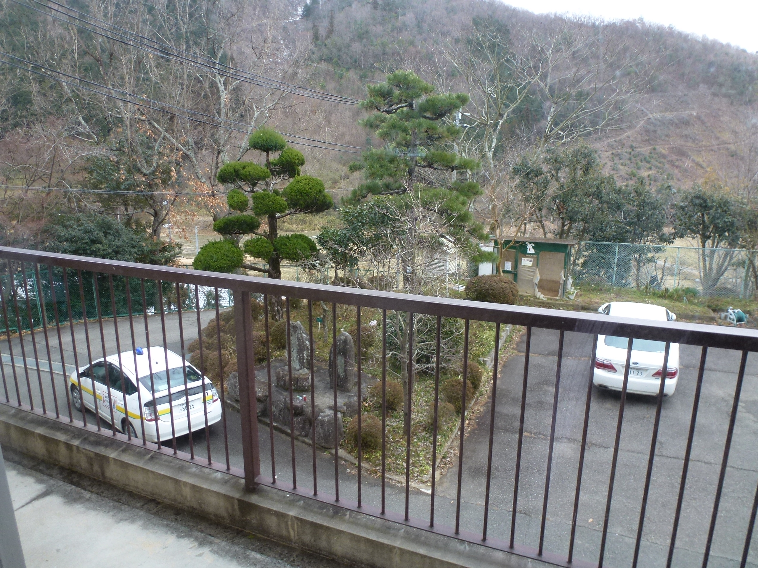 P1150318.JPG