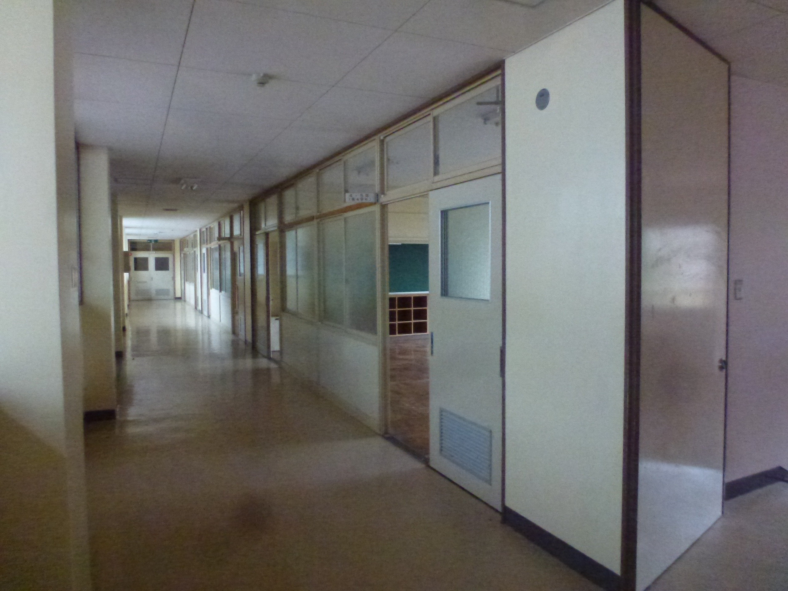 P1150321.JPG