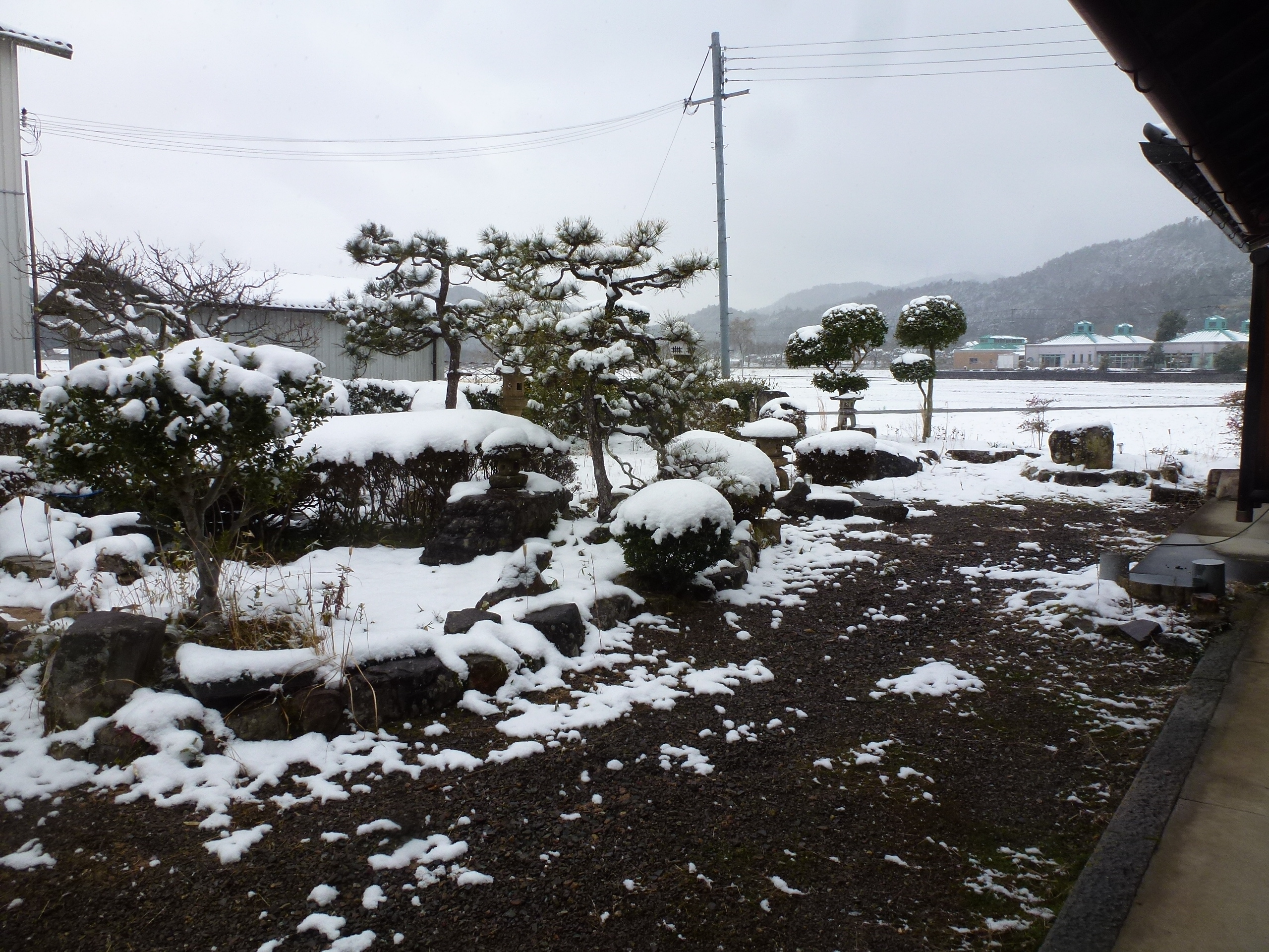 P1150330.JPG