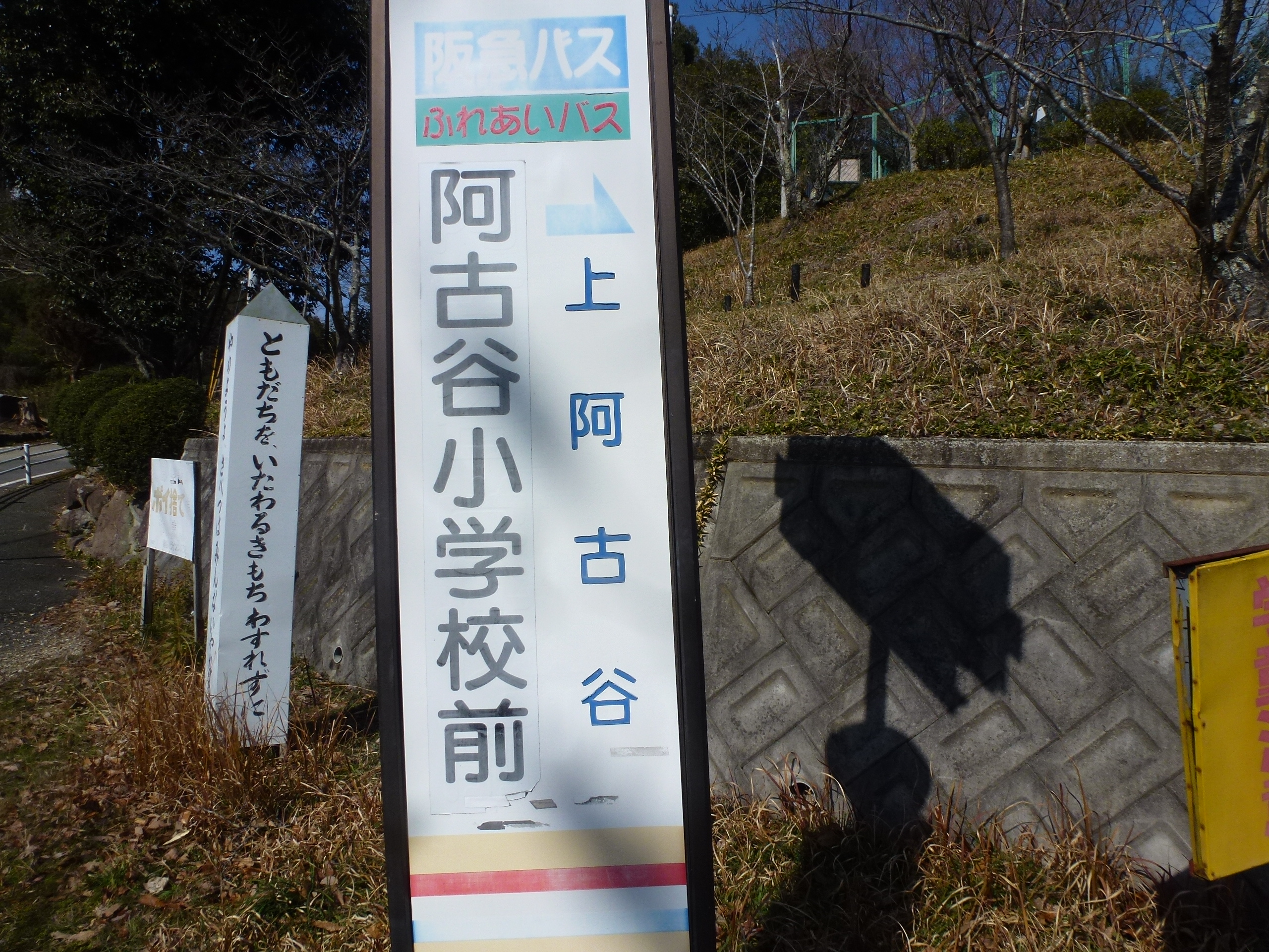 P1150346.JPG