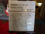 img0002.jpg