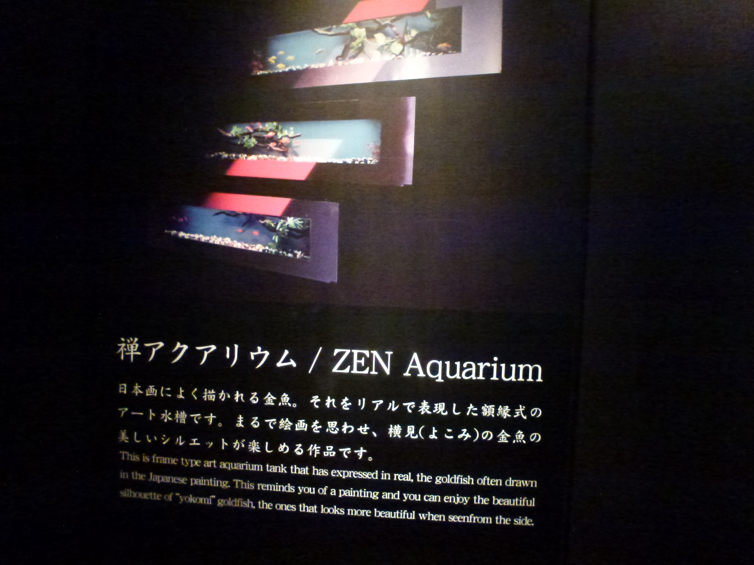 P1150359.JPG