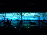 img0004.jpg