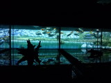 img0006.jpg