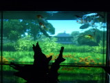 img0007.jpg