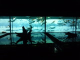 img0011.jpg