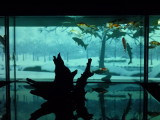 img0012.jpg