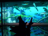 img0013.jpg