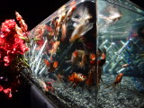 img0014.jpg