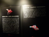img0016.jpg
