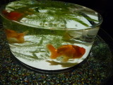 img0023.jpg