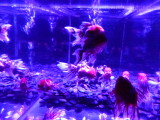 img0027.jpg
