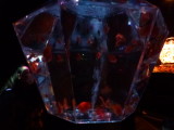 img0032.jpg