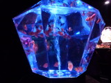 img0035.jpg