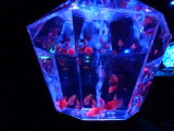 img0036.jpg