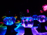 img0037.jpg