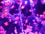 img0043.jpg