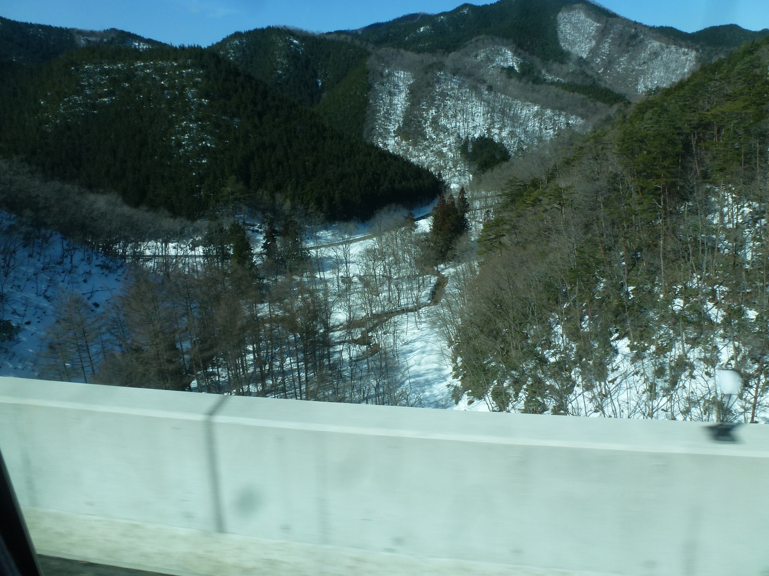 P1150423.JPG