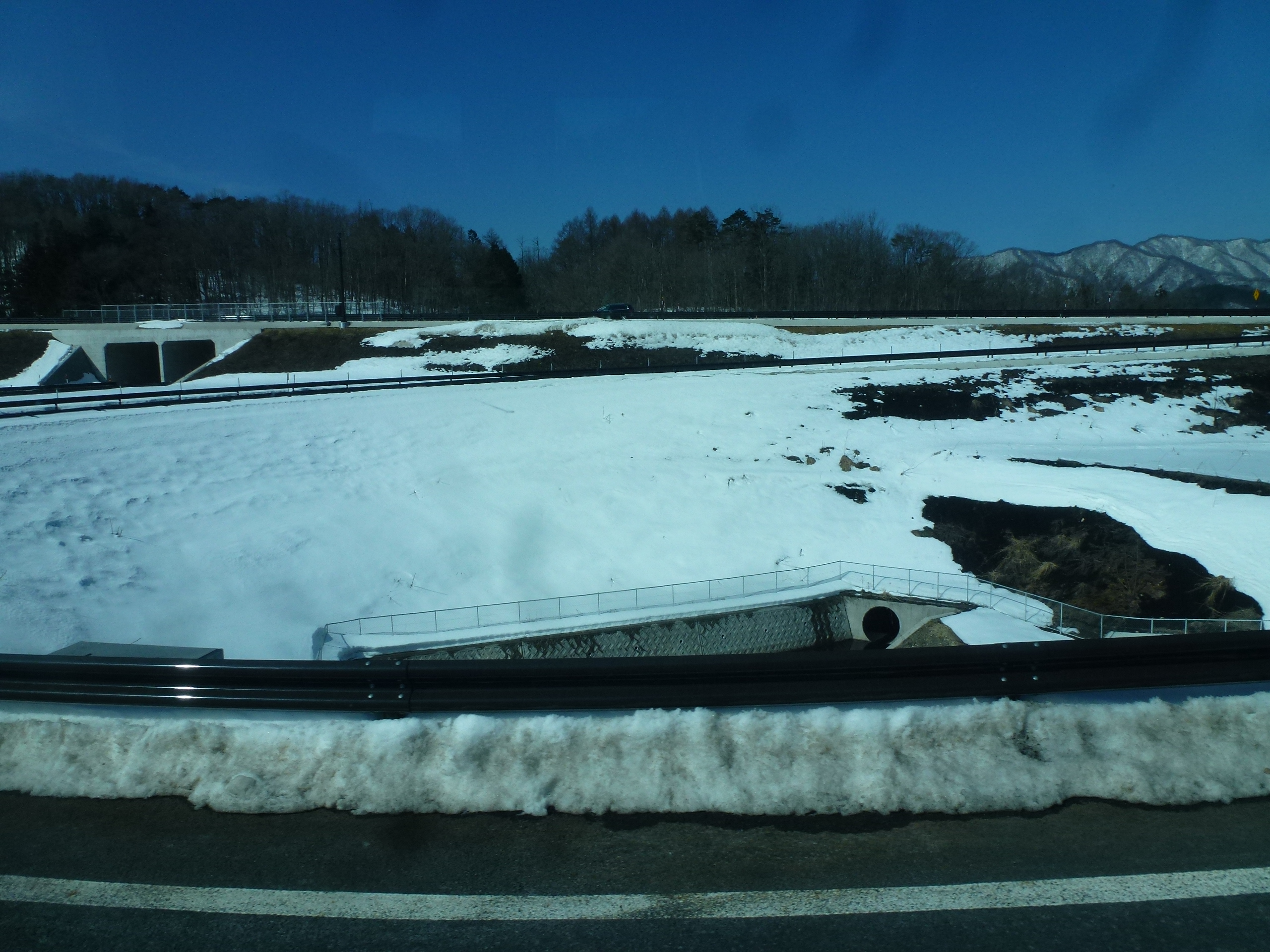 P1150427.JPG