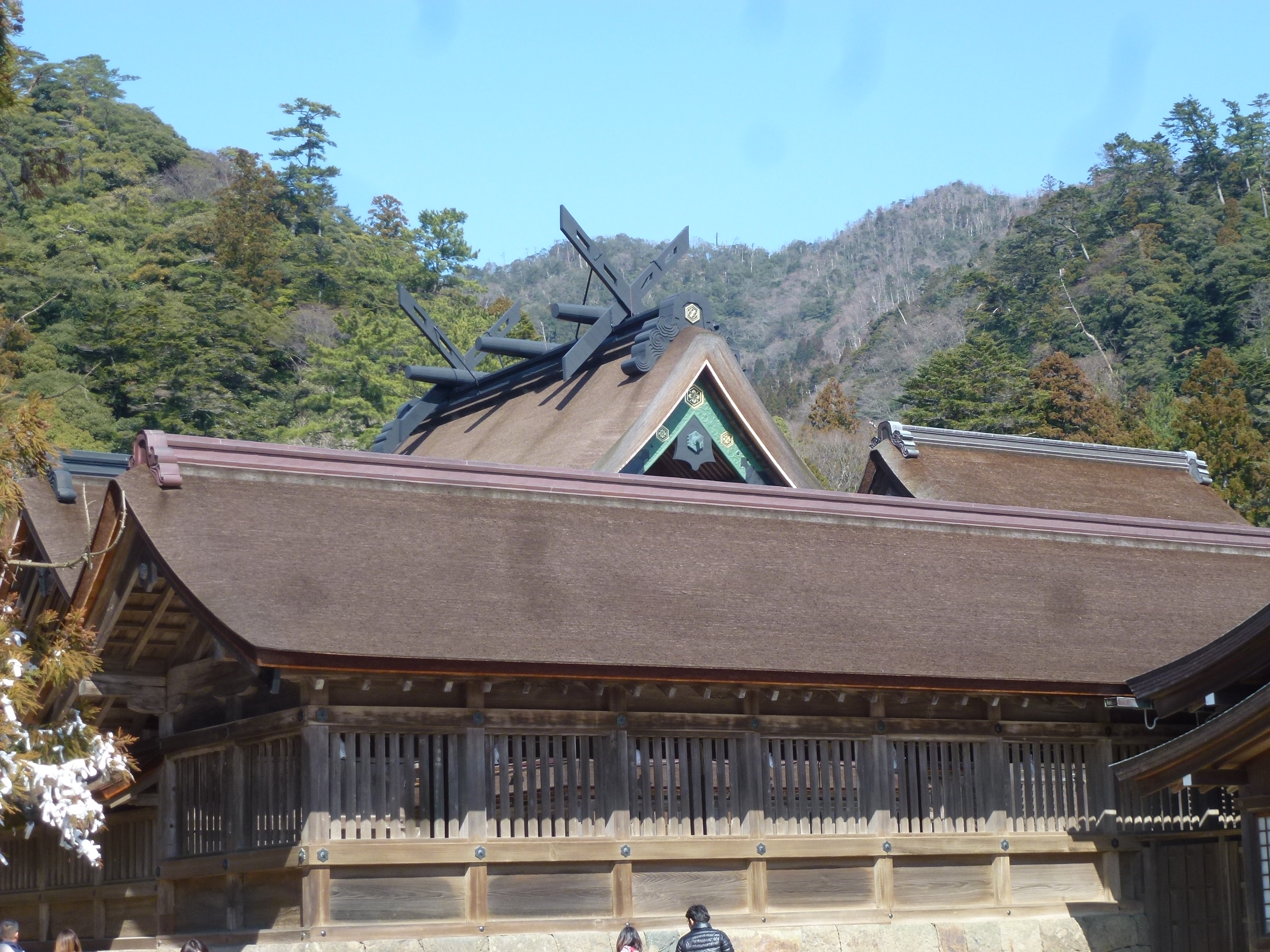 P1150451.JPG