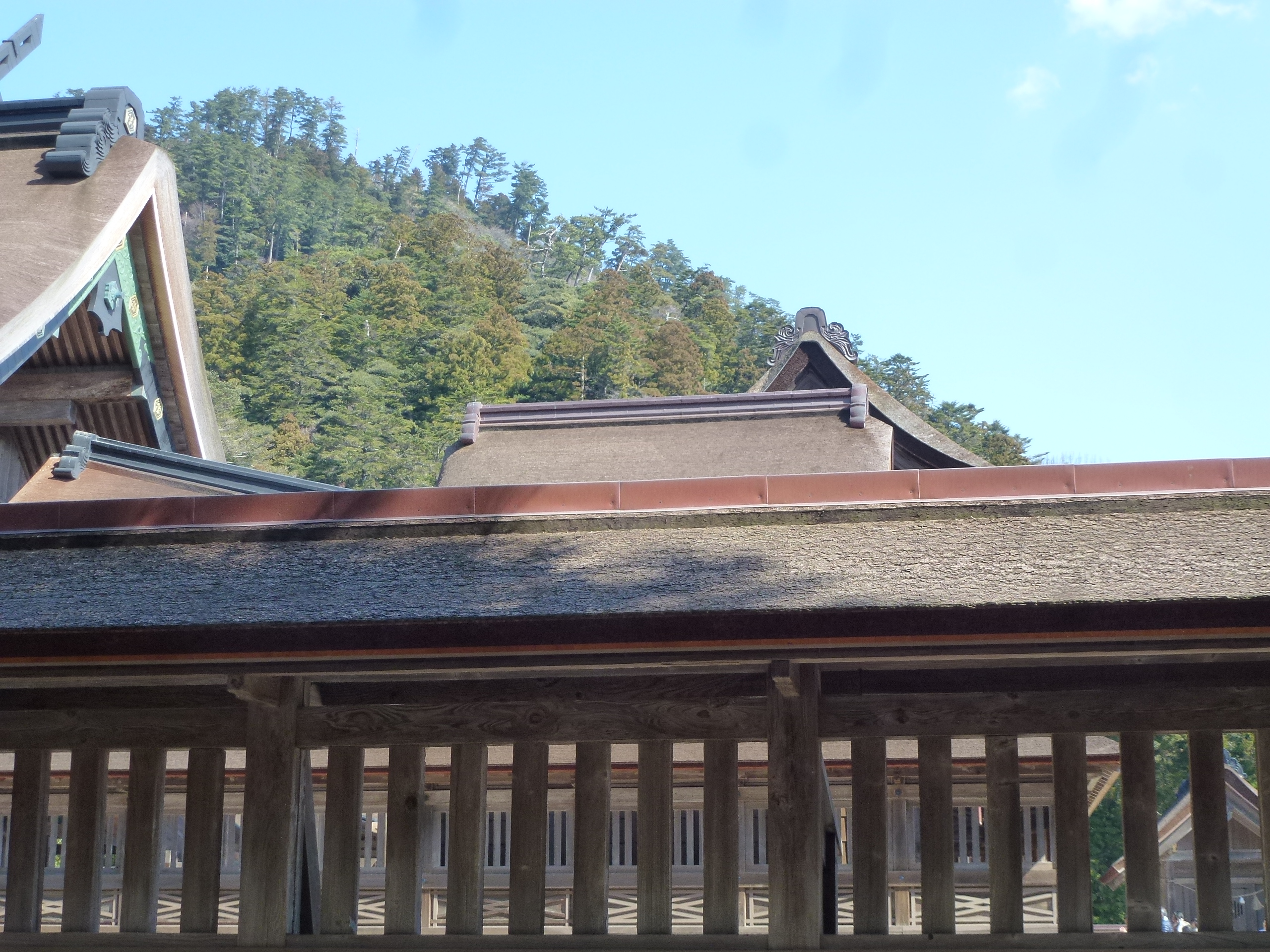 P1150480.JPG