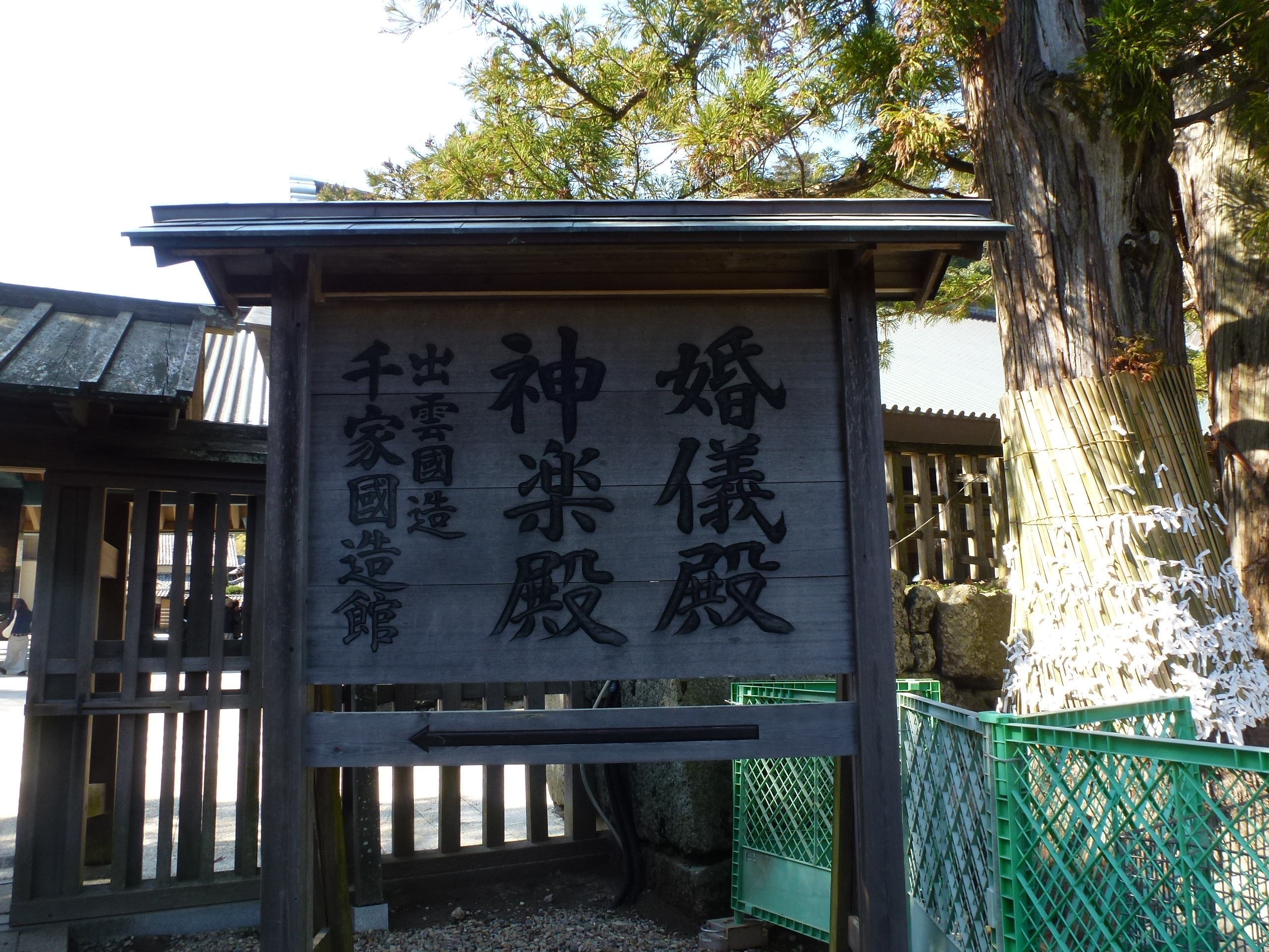 P1150483.JPG