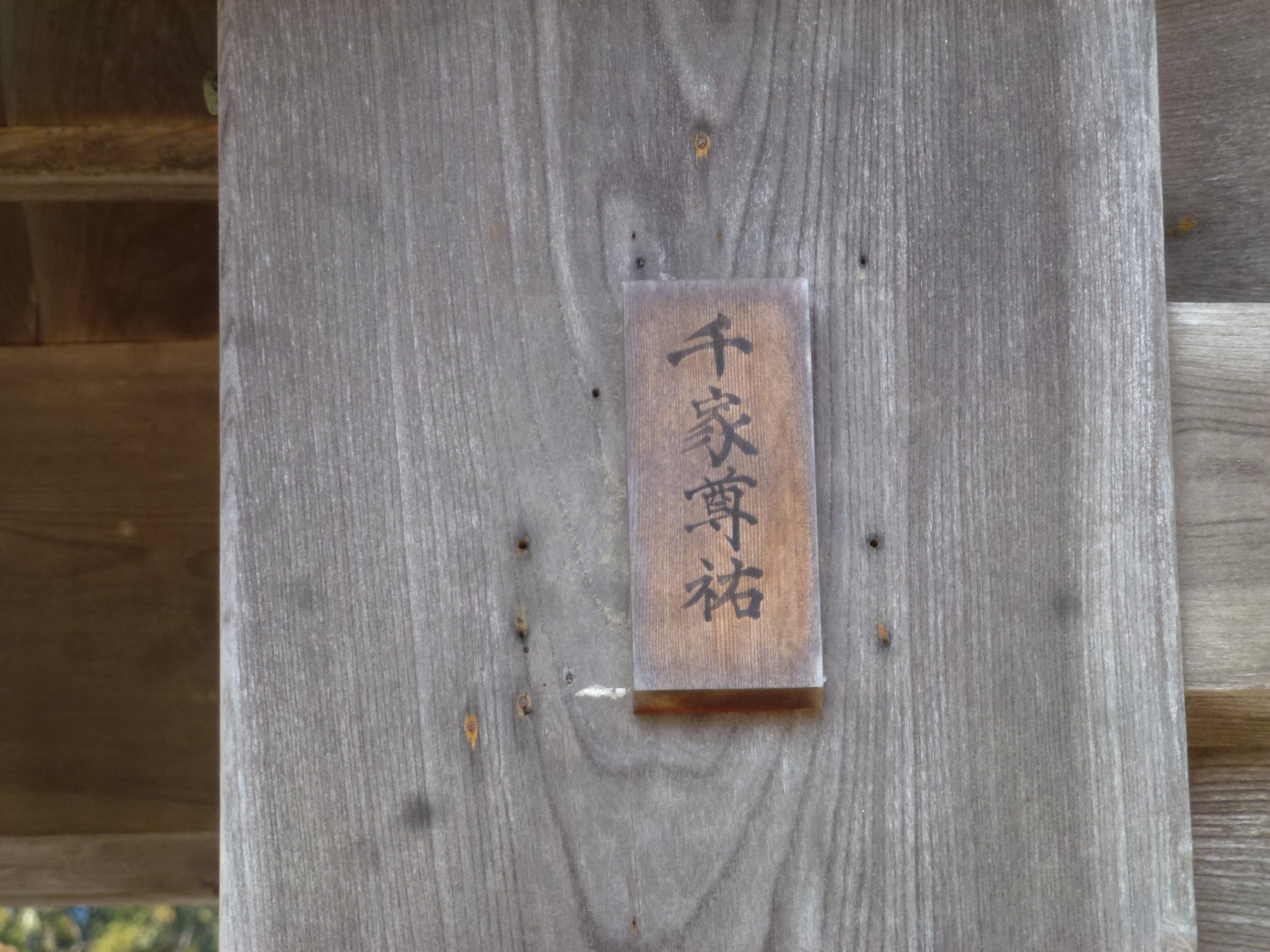 P1150497.JPG