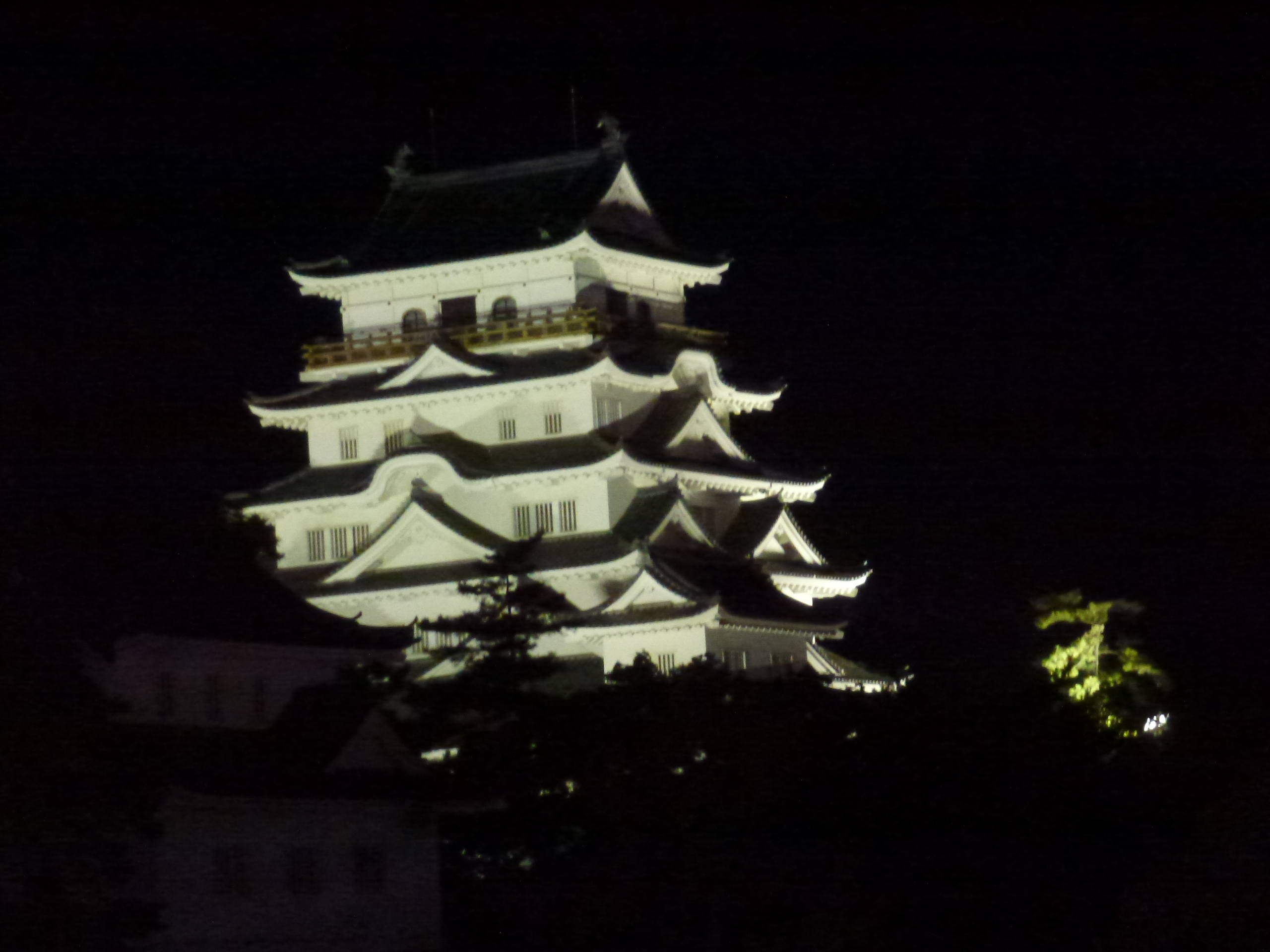 P1150563.JPG