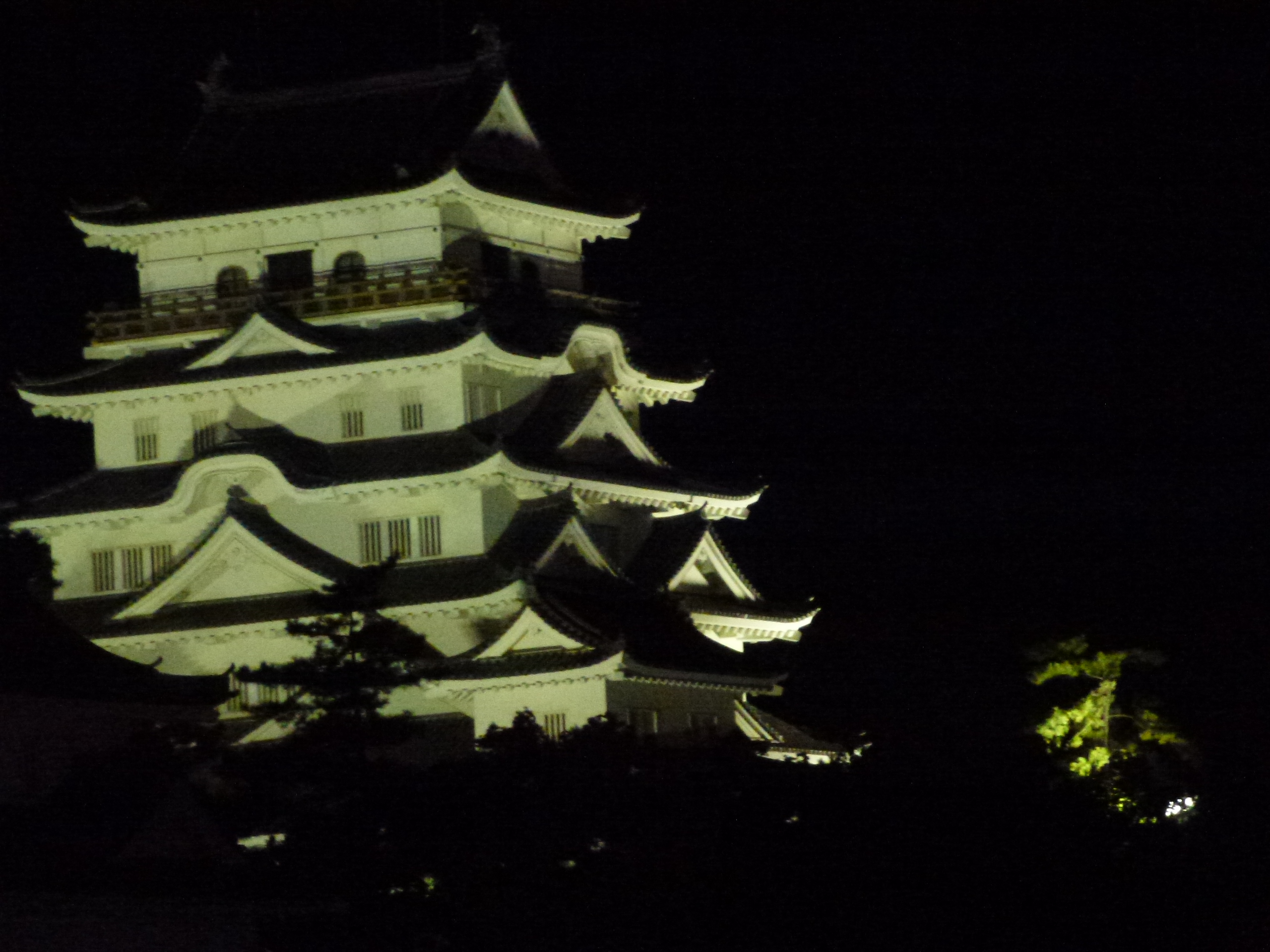 P1150564.JPG