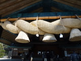 img0030.jpg