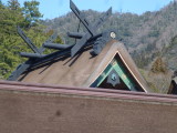 img0035.jpg