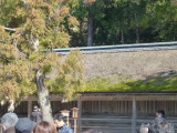 img0047.jpg