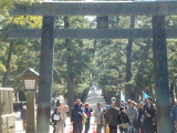img0051.jpg