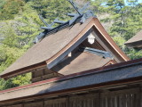 img0060.jpg