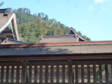 img0063.jpg