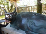 img0085.jpg