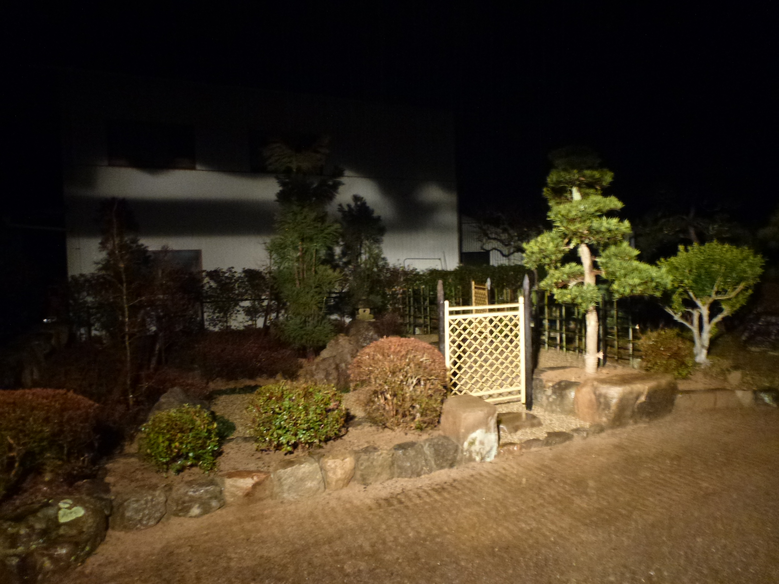 P1150659.JPG