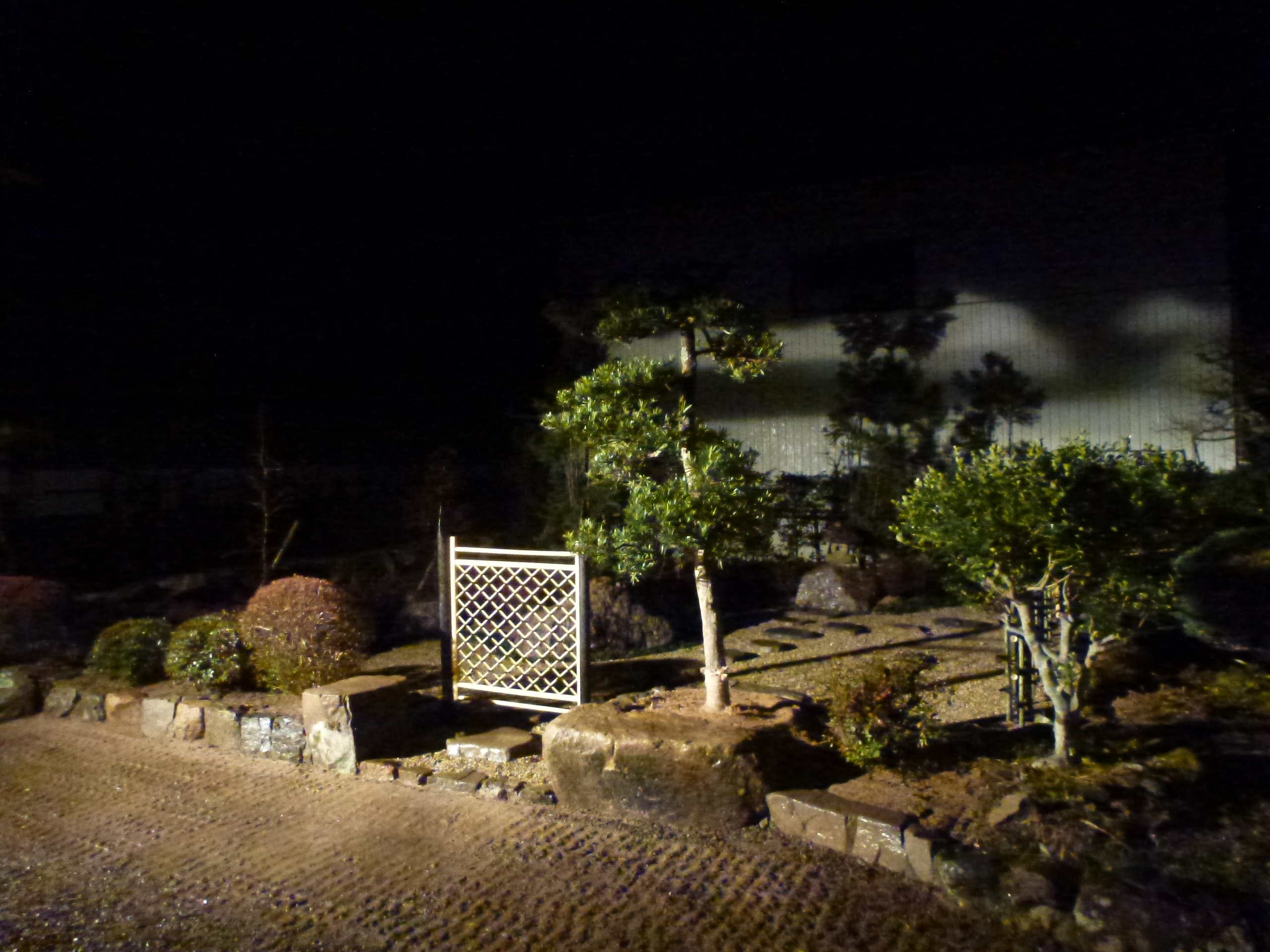 P1150662.JPG
