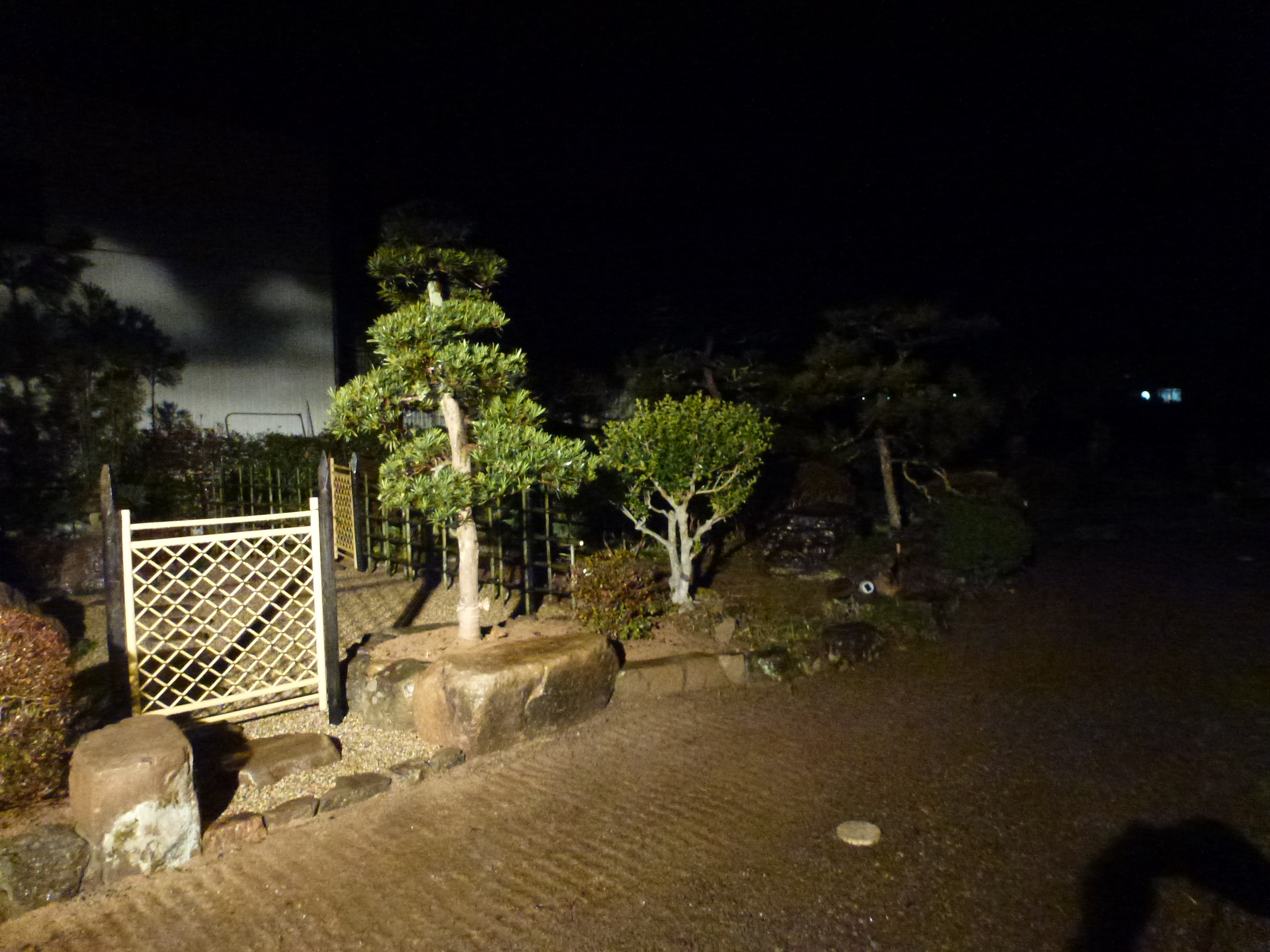 P1150663.JPG