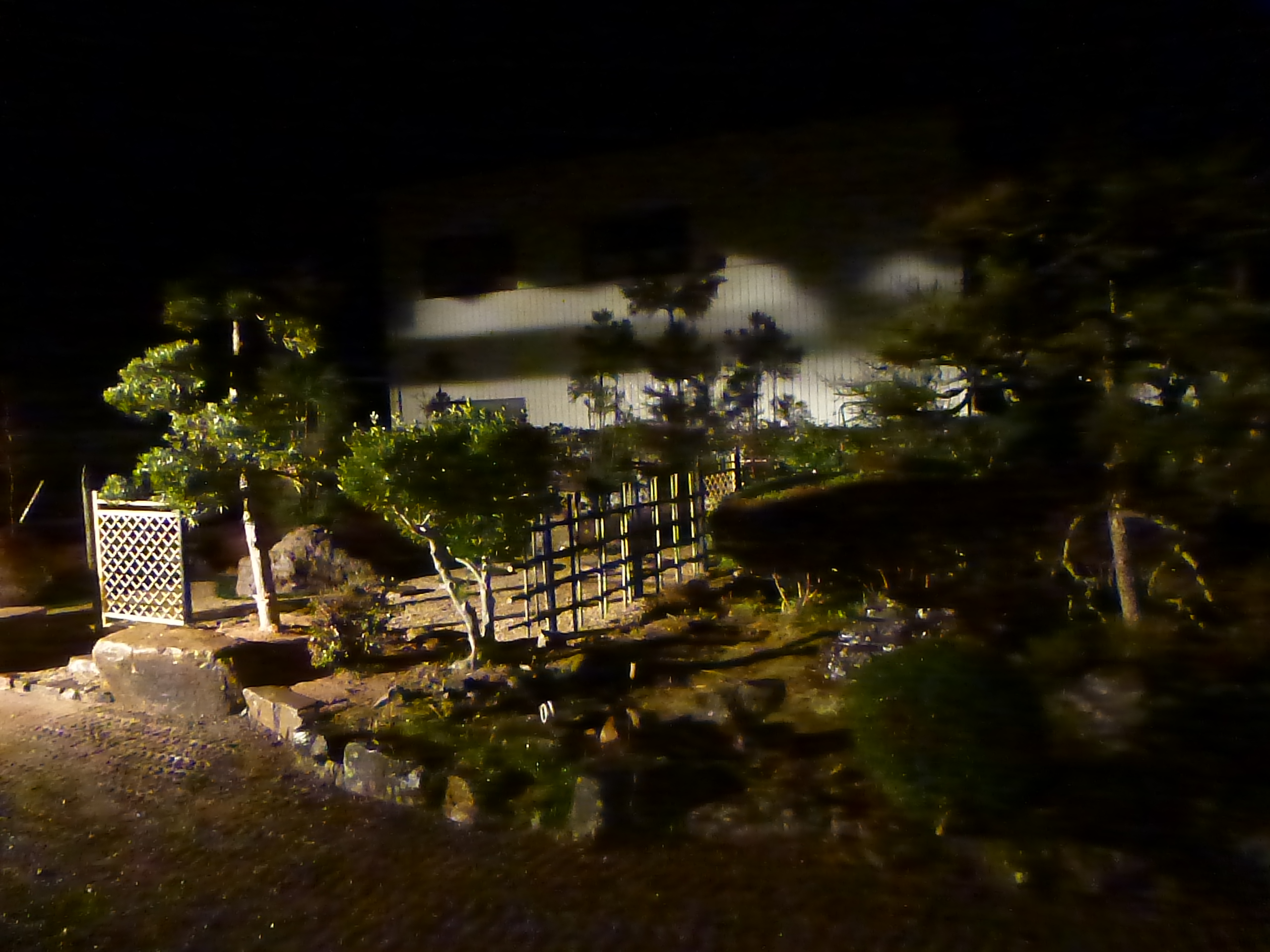 P1150665.JPG